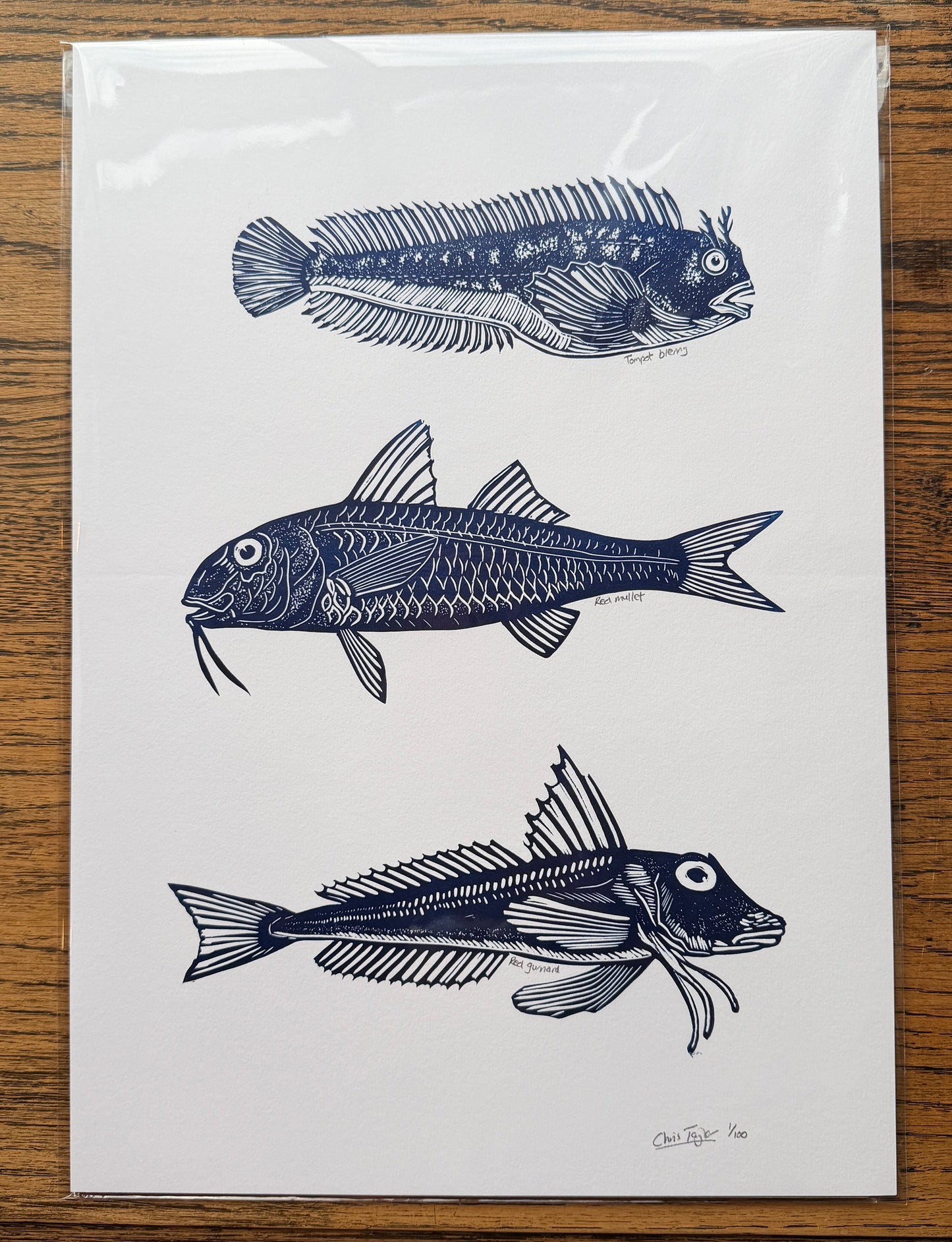 North Sea Fish I - A3 linocut print - single colour