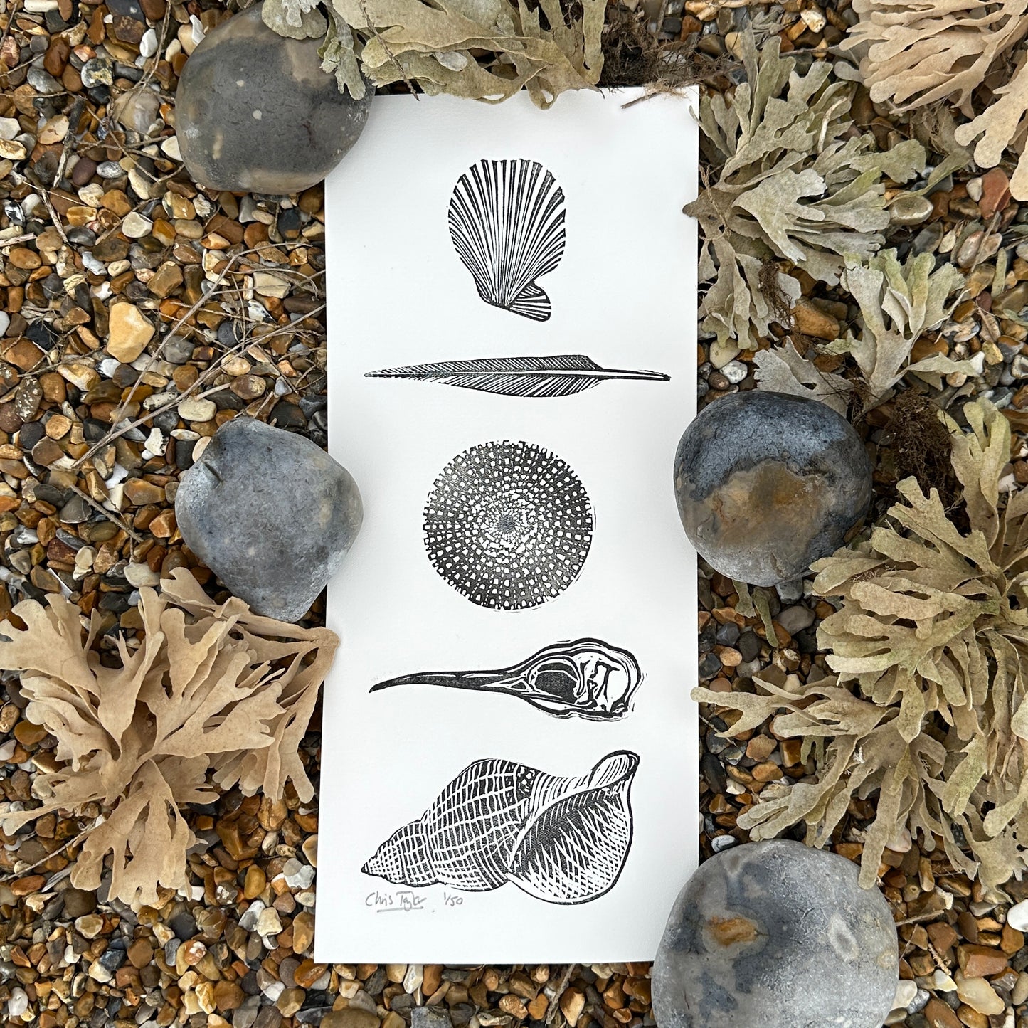 Blakeney Point finds - original linocut block print