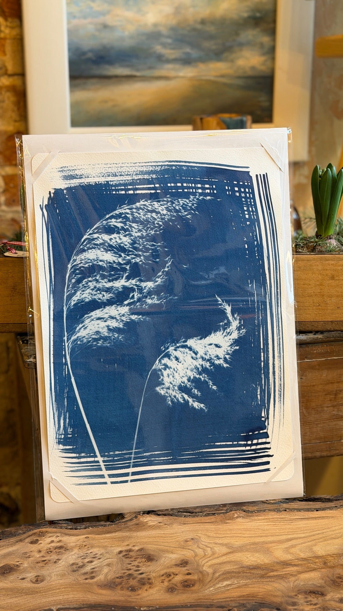 Cyanotype prints (various) 28x38cm