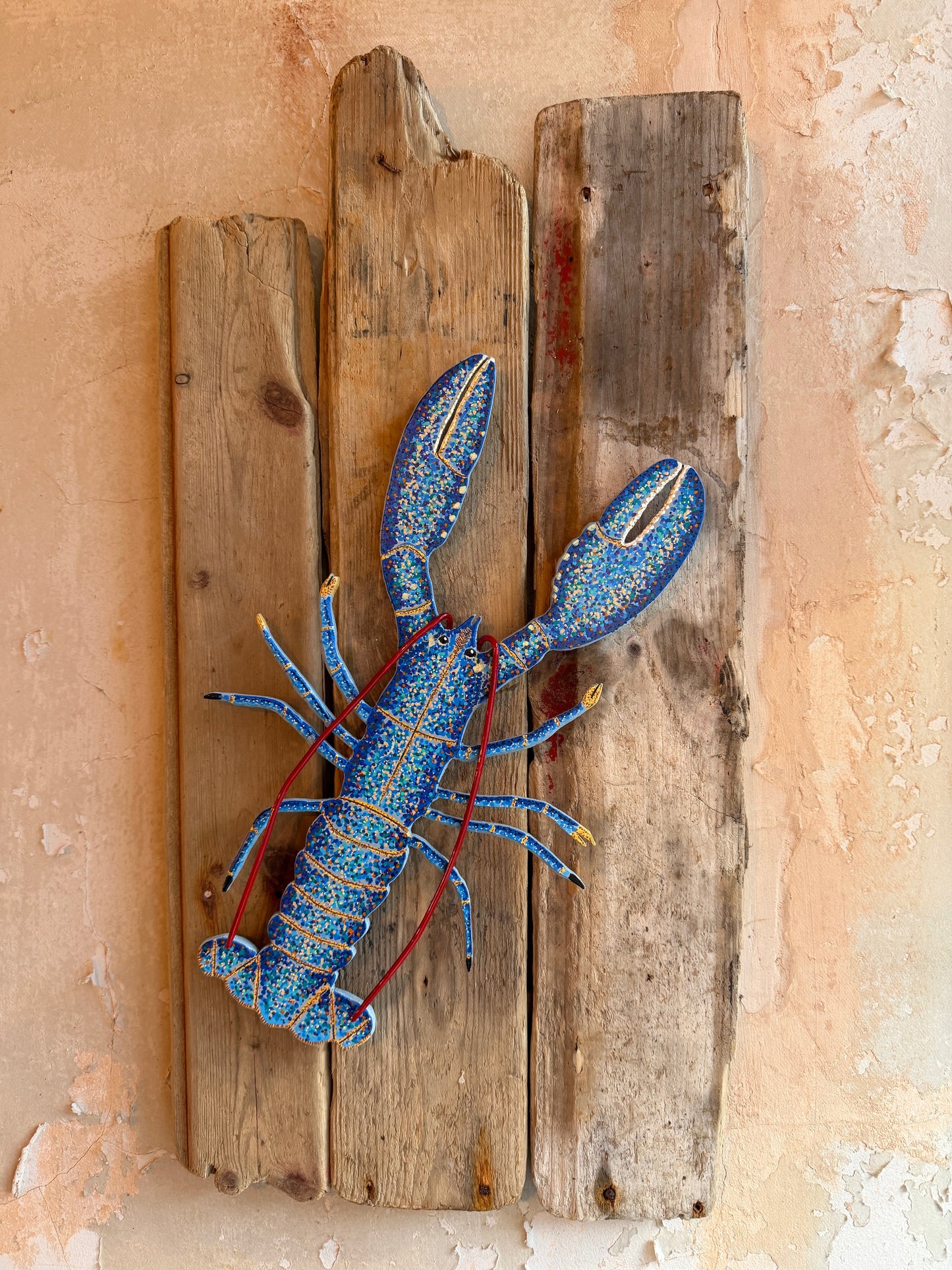 Hand-Painted lobster shadow-mounted on driftwood