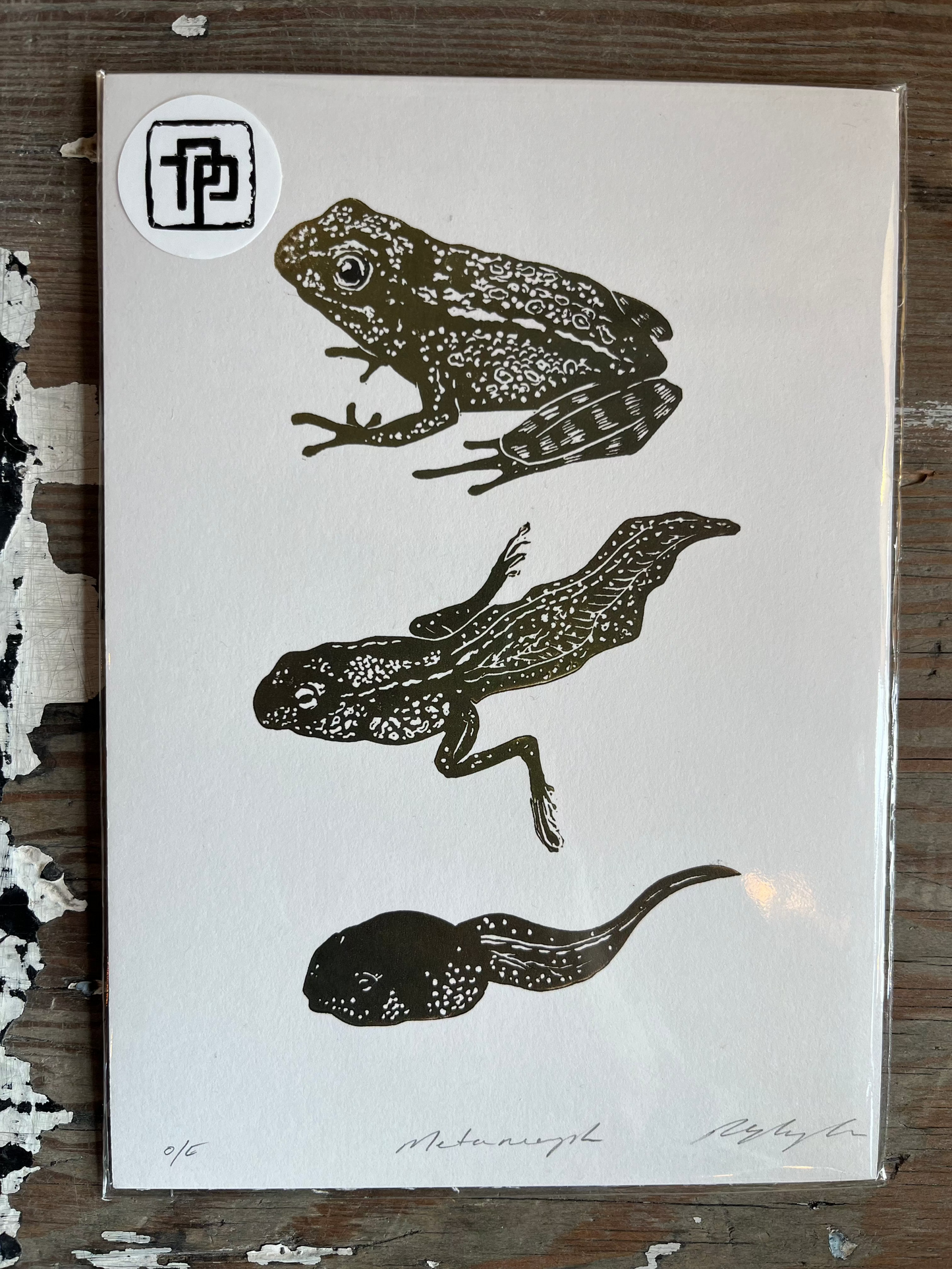 Metamorph (frog) Linocut Print