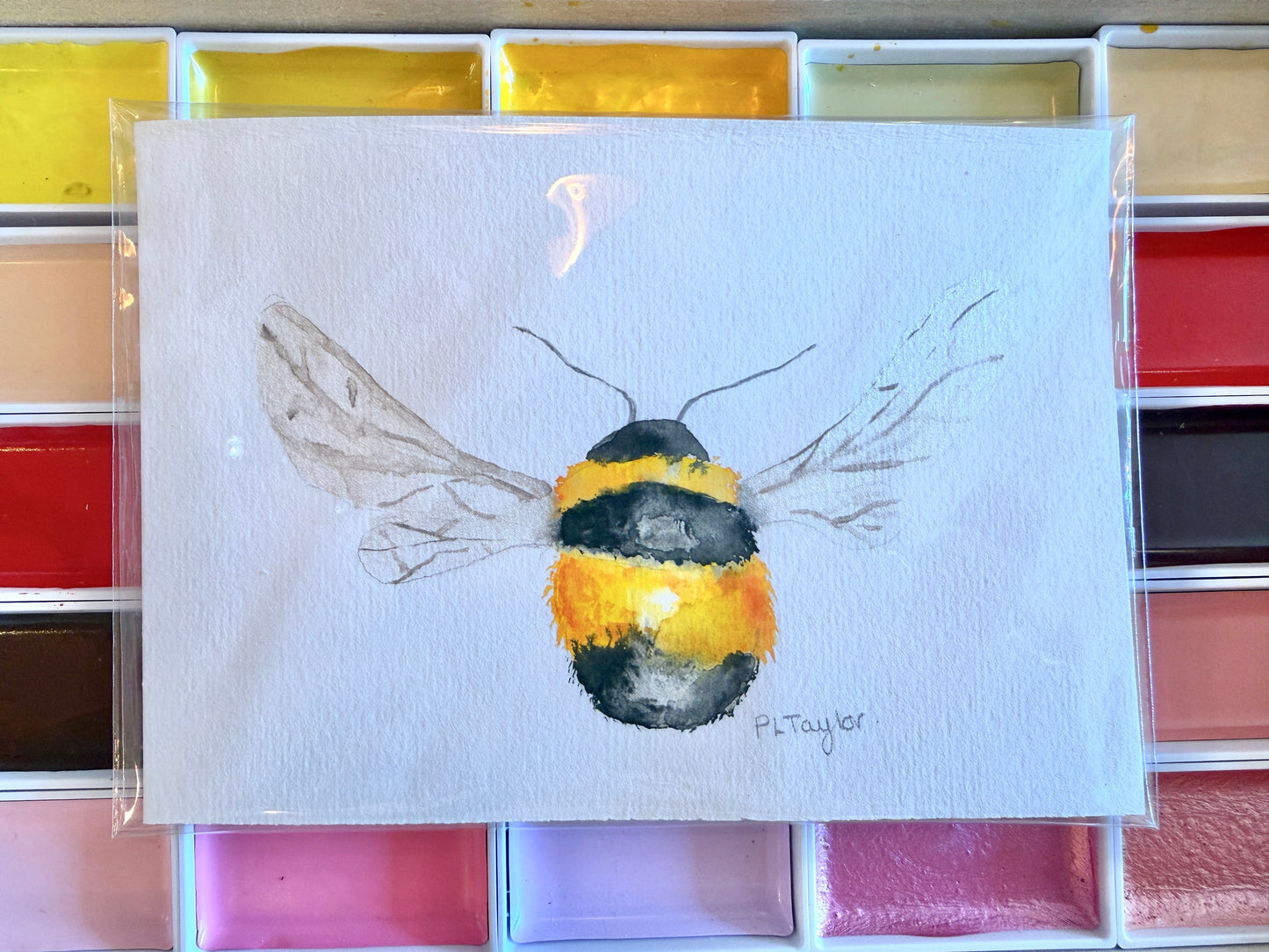 Original Watercolour Mini Prints