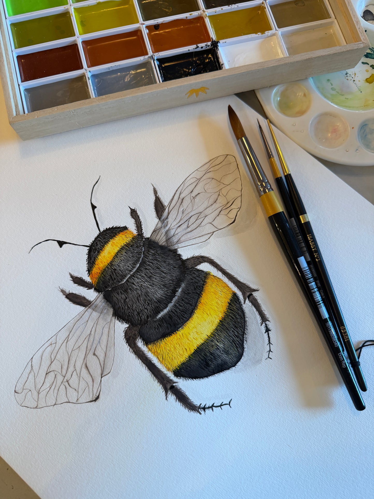 Bee-Original Watercolour Painting
