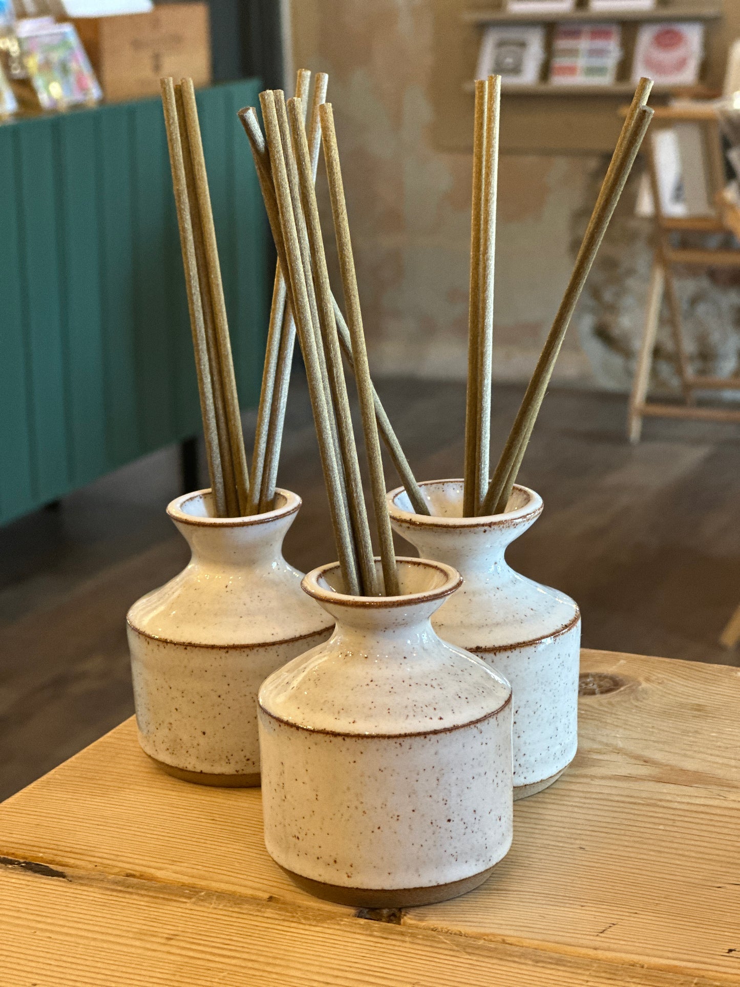 Oil Defuser Bottle with Reeds