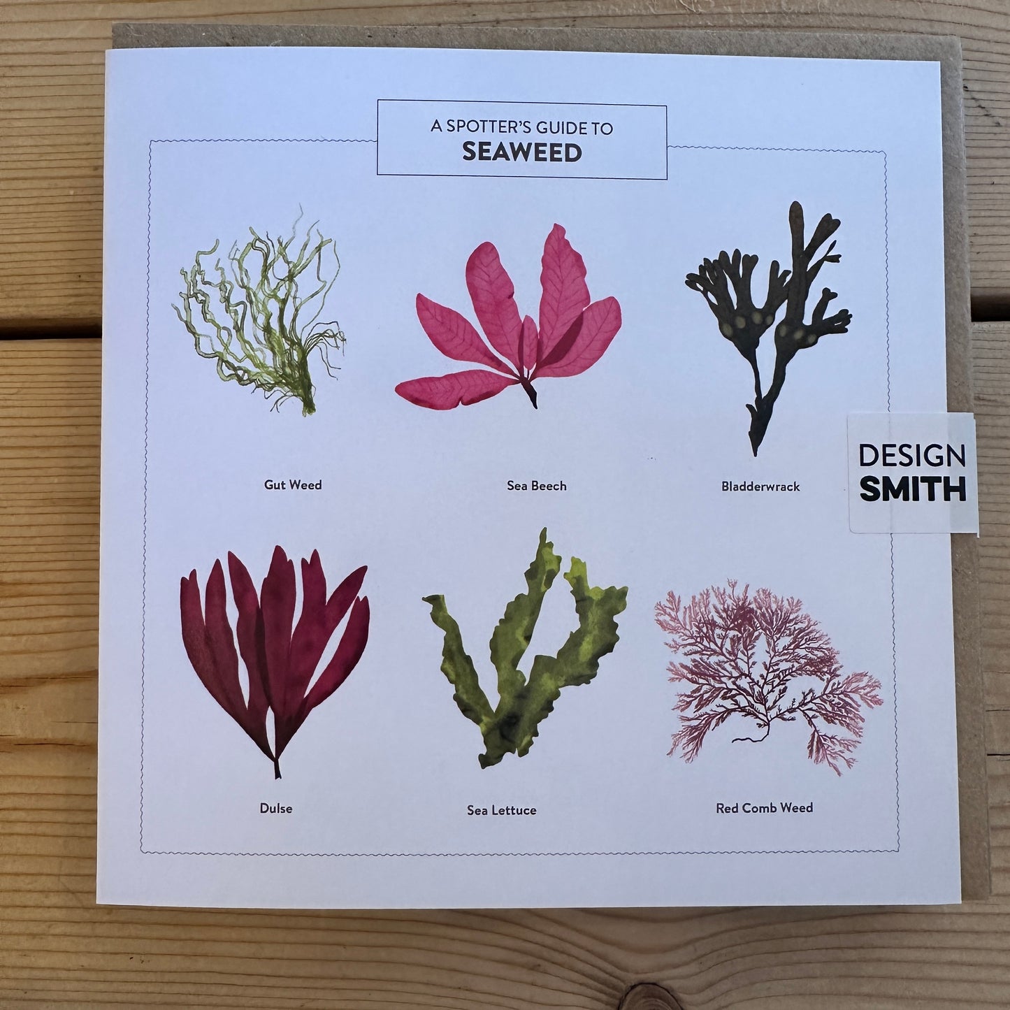 Seaweed Card