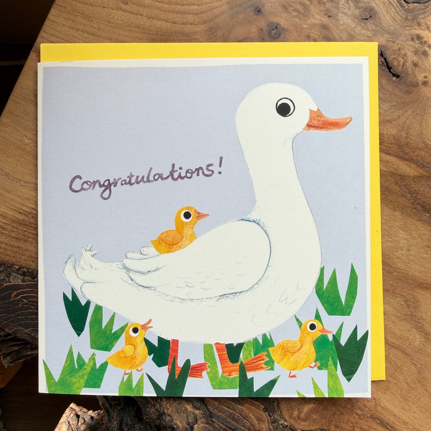 Congratulations goose & goslings