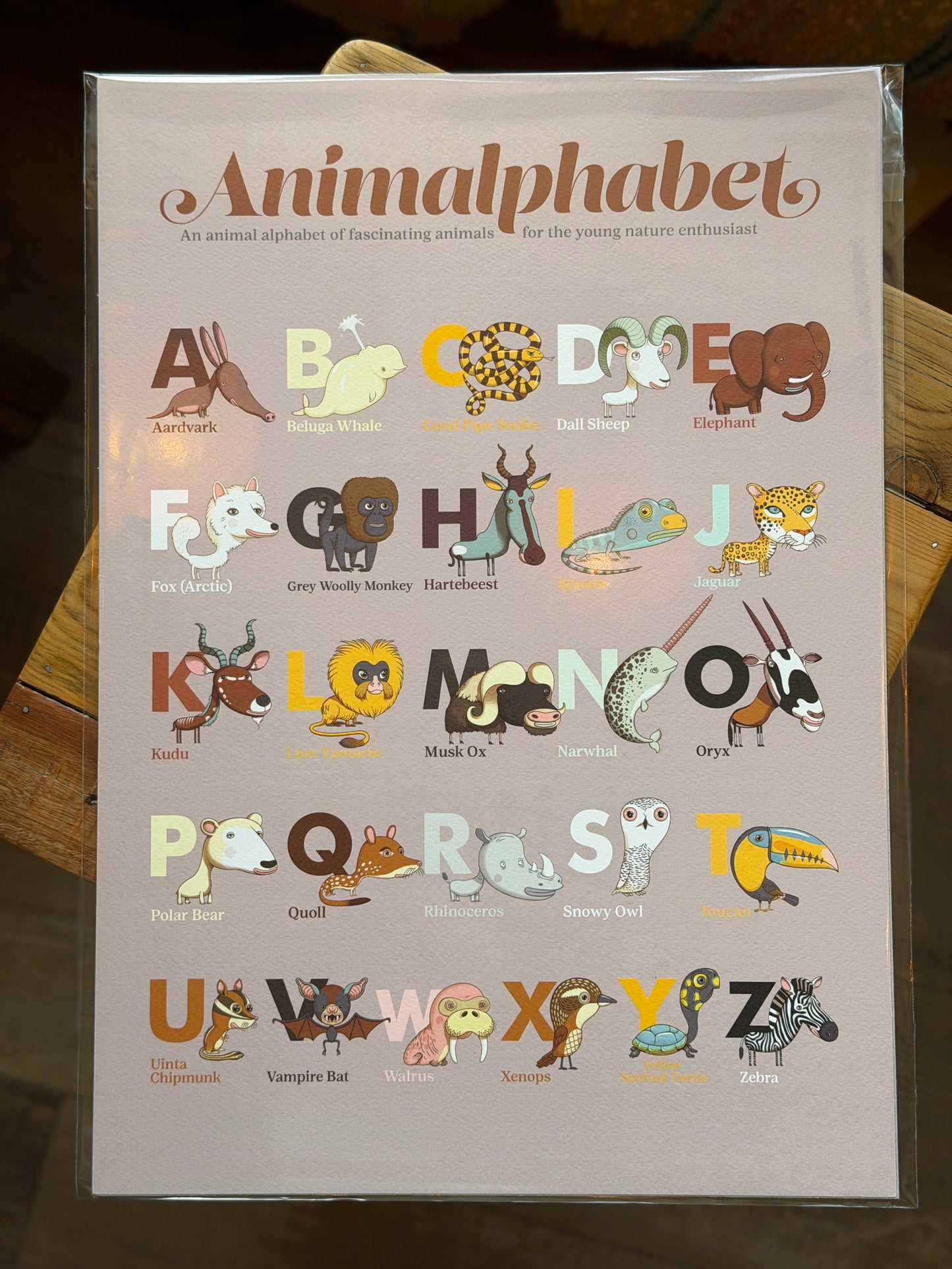 Animalphabet - A3 poster
