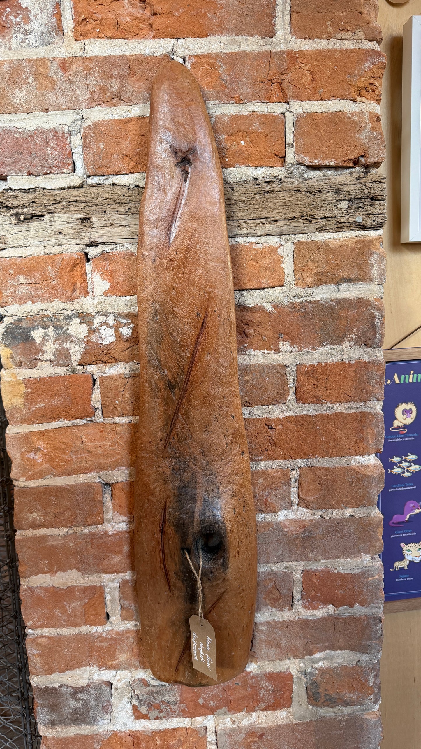 Unique Driftwood Wall Hanging