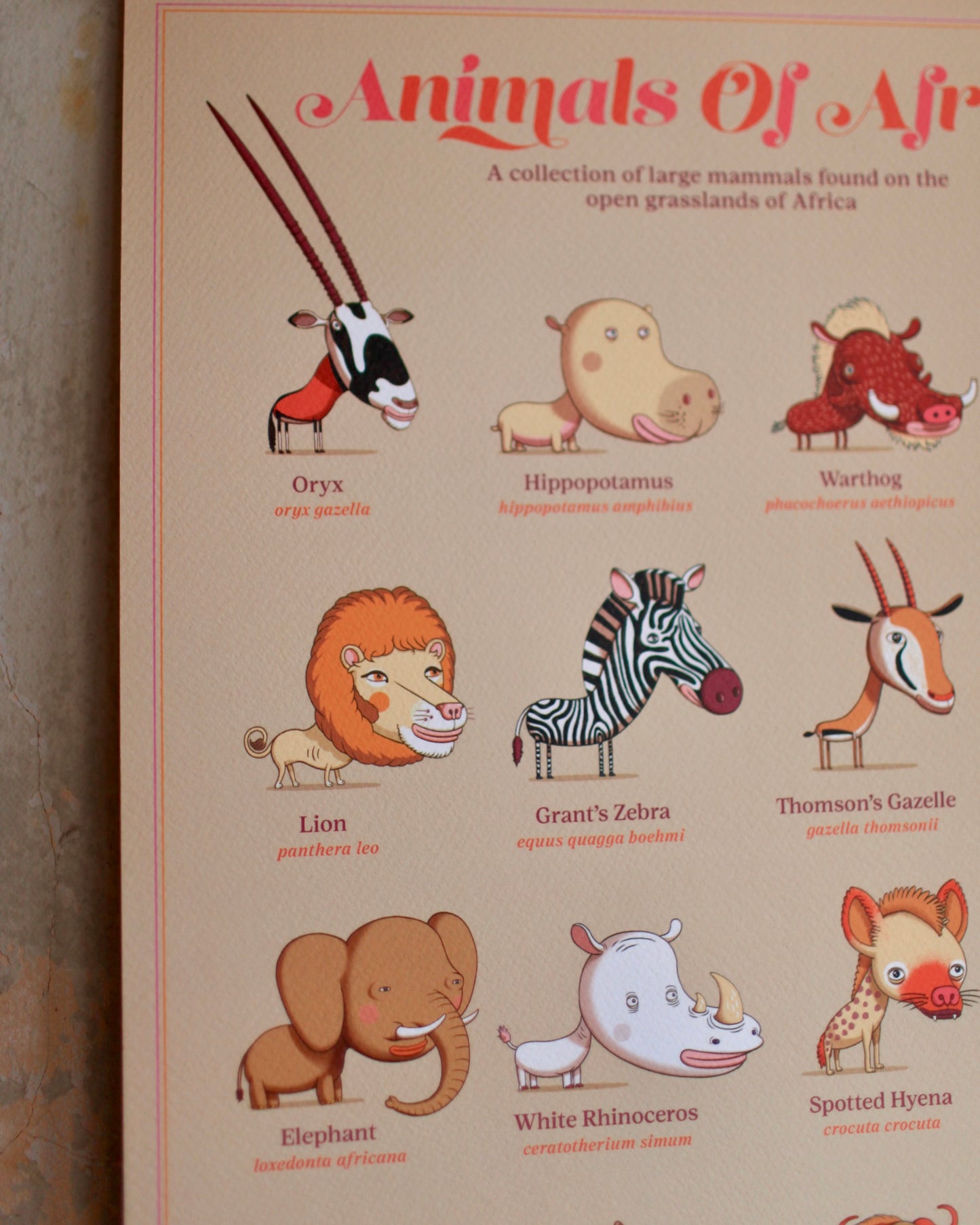 Andy Ward animals of Africa print