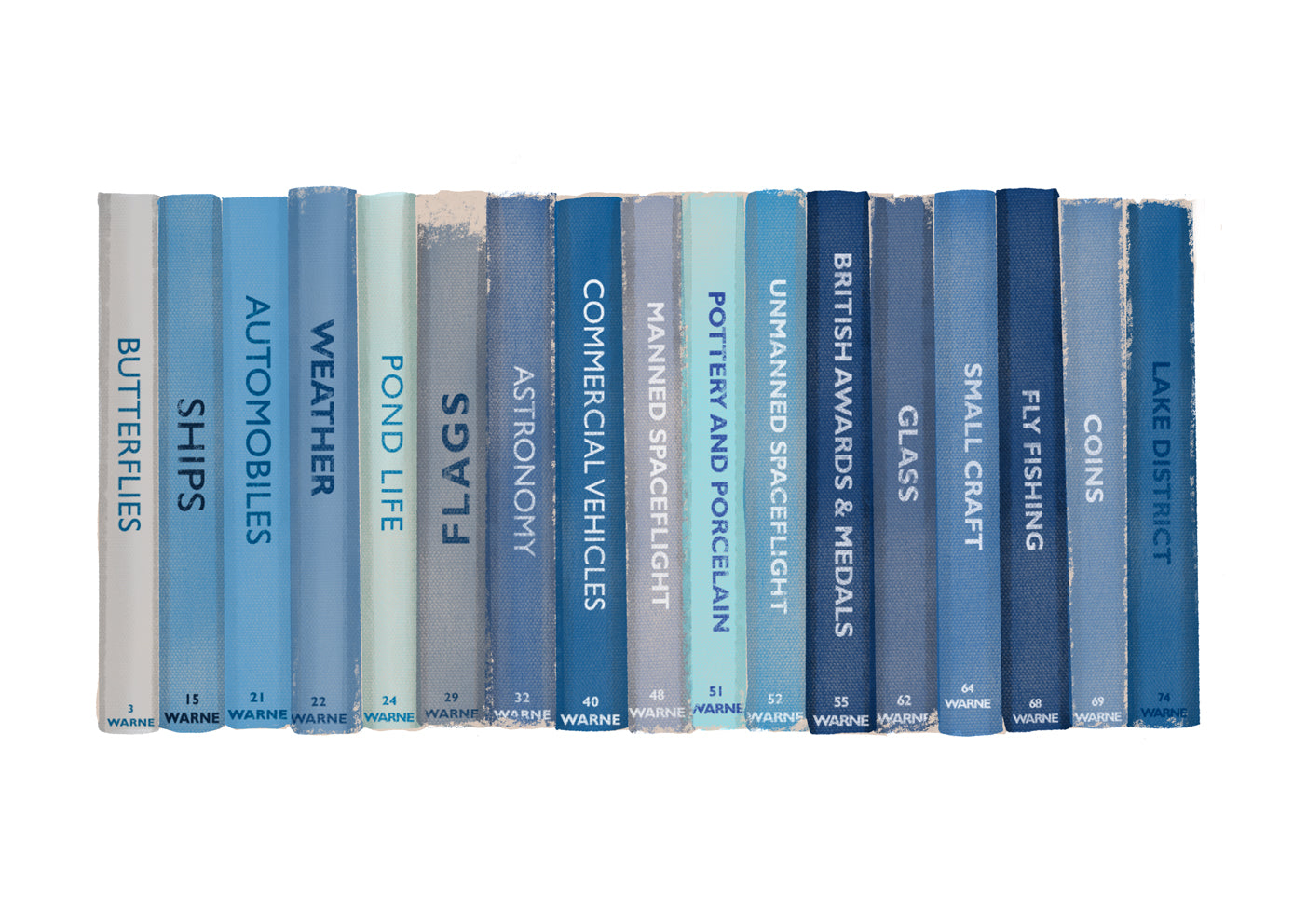 Blue Observer Book Collection print