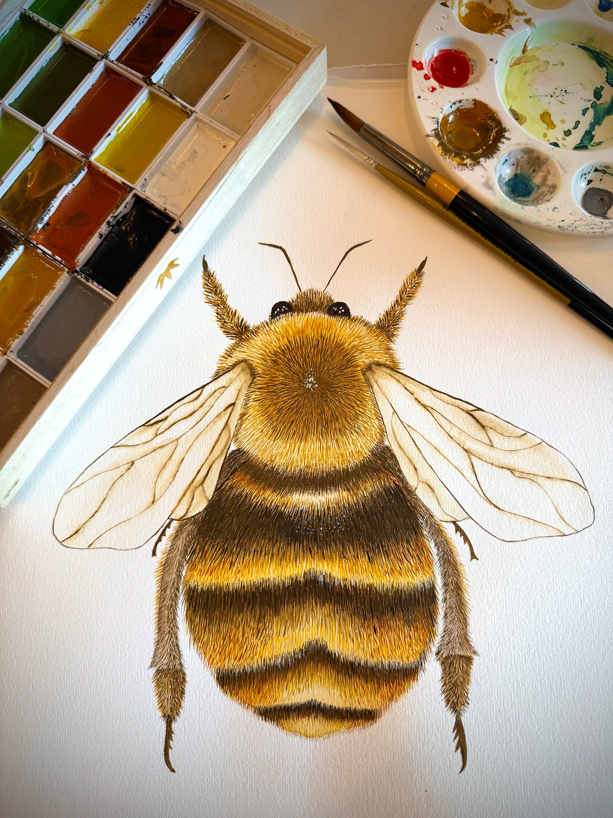 Bumblebee Giclee Limited Edition Print