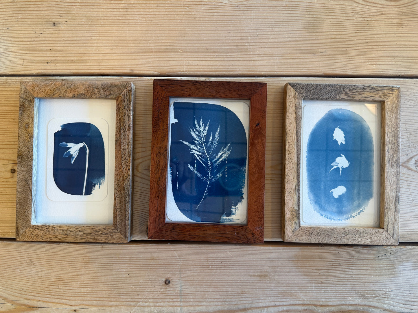 Cyanotype inSmall Wodden Frame