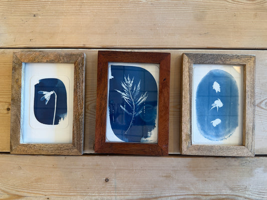 Cyanotype in small wooden frame