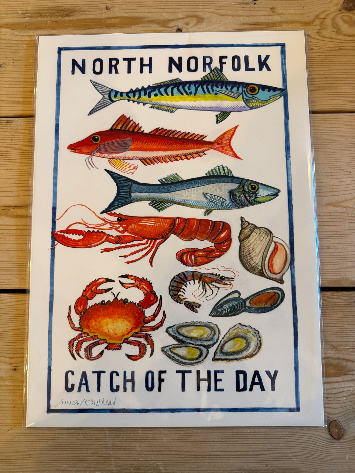 Catch of the Day