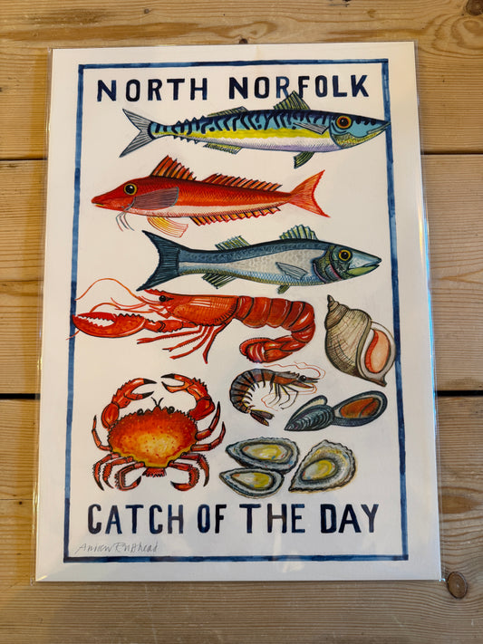 Catch of the Day