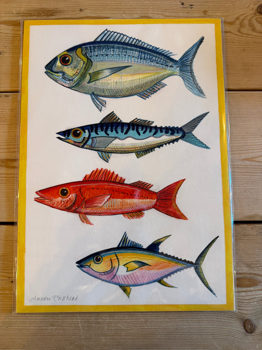 Four Fish Yellow Frame