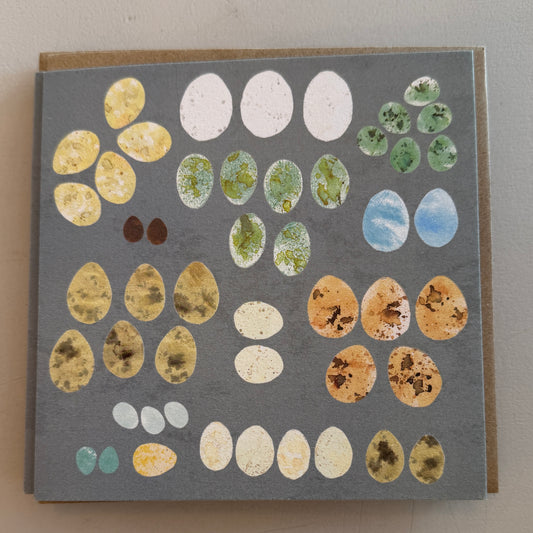 Birds egg card