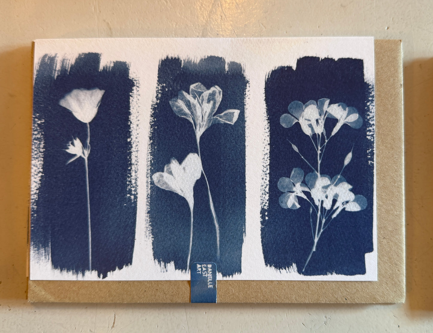 Cyanotype Cards
