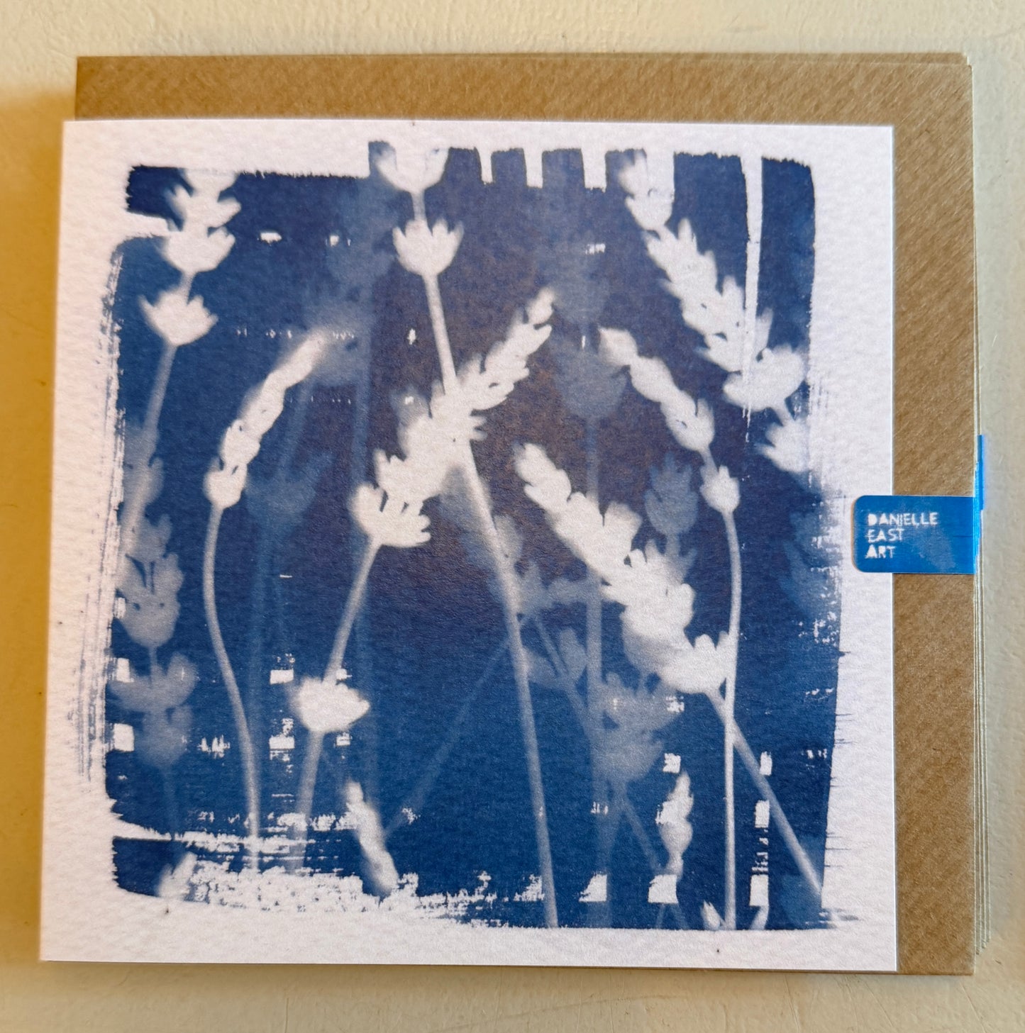 Cyanotype Cards