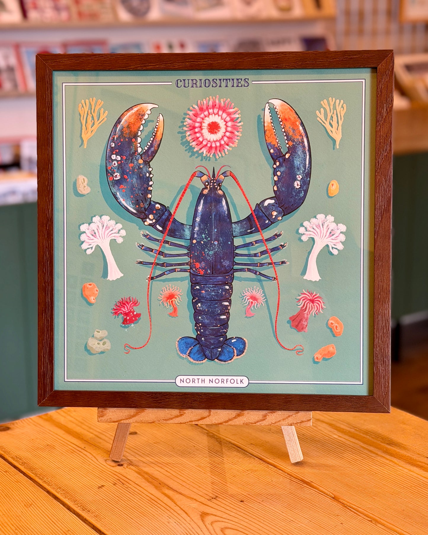 Crab & Lobster Curiosity Cabinet Series
