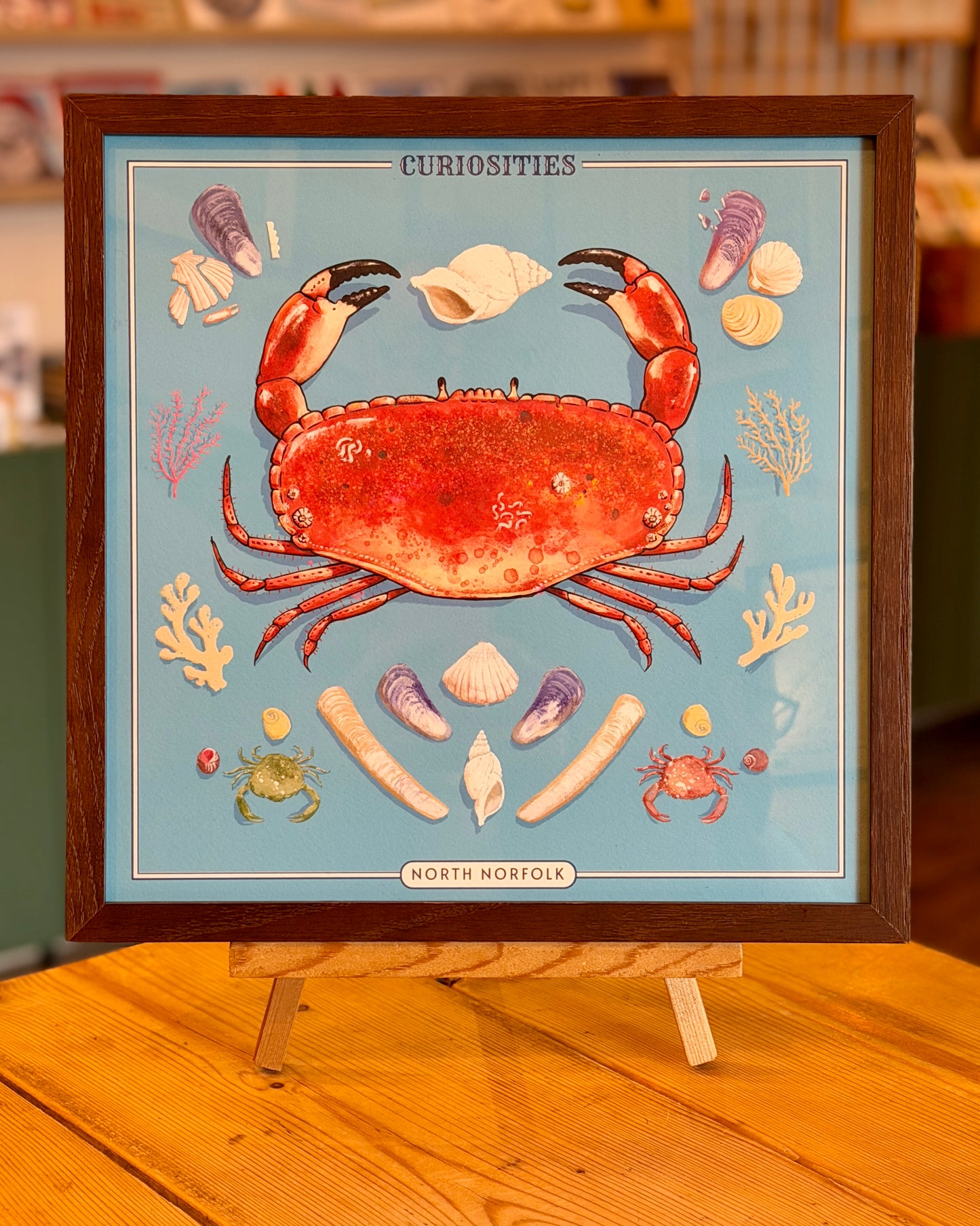 Crab & Lobster Curiosity Cabinet Series