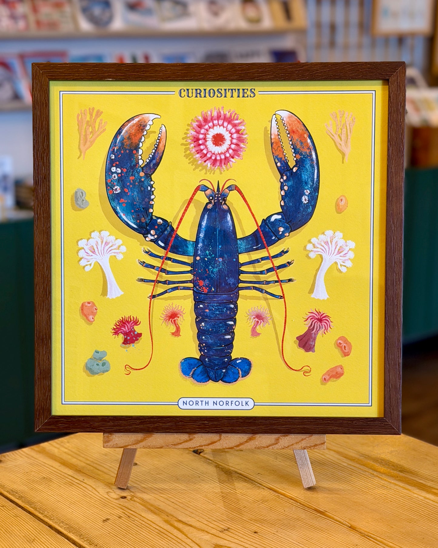 Crab & Lobster Curiosity Cabinet Series