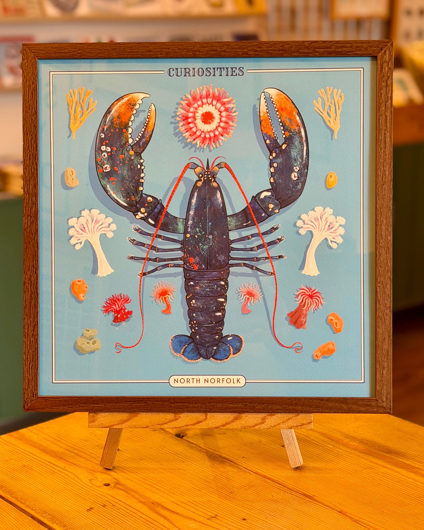 Crab & Lobster Curiosity Cabinet Series