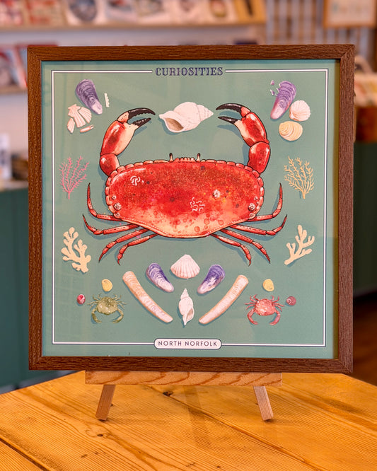Crab & Lobster Curiosity Cabinet Series