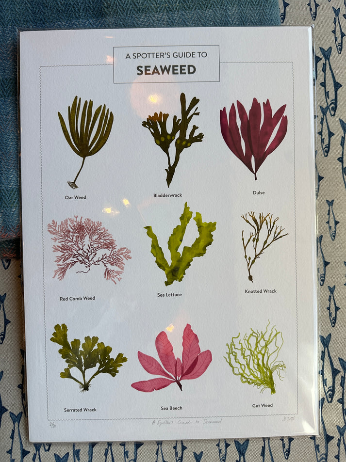 Design Smith | Spotters guide to pebbles - limited edition print – MAKE ...