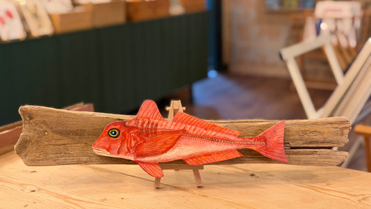 Hand-Painted Red Gurnard shadow-mounted on driftwood