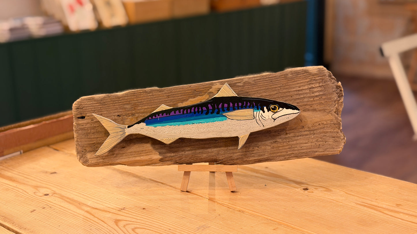 Hand-Painted Mackerel shadow-mounted on Norfolk driftwood