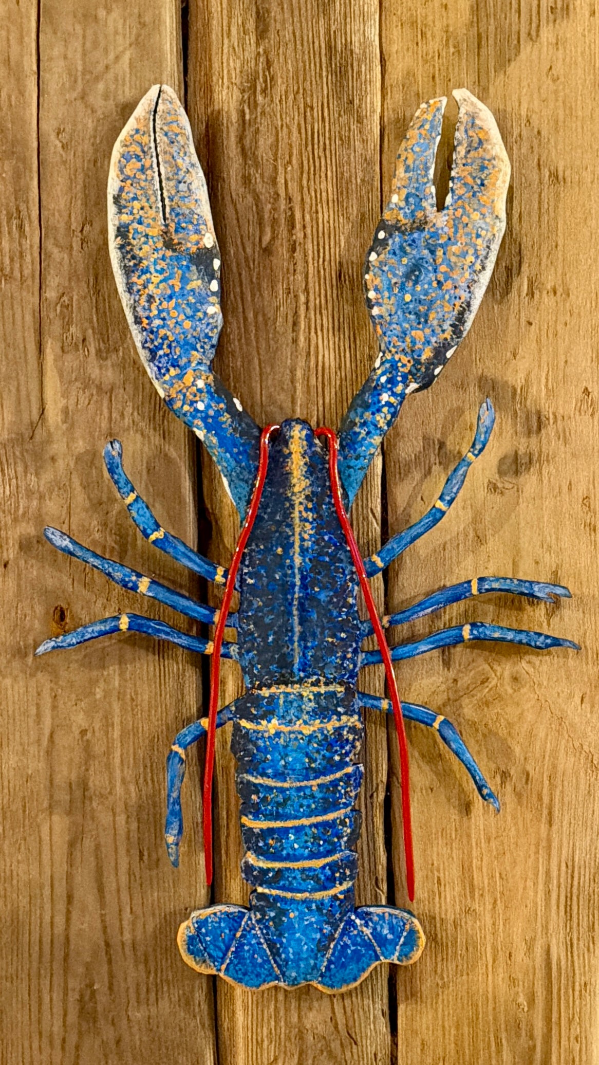 Hand-Painted lobster shadow-mounted on driftwood