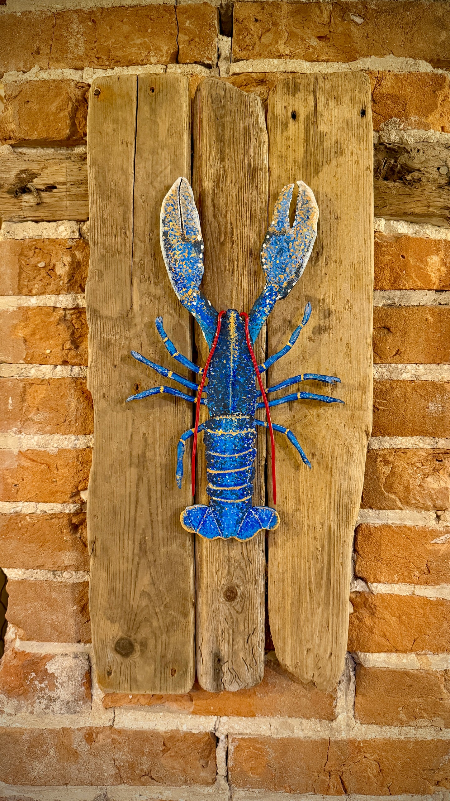 Hand-Painted lobster shadow-mounted on driftwood