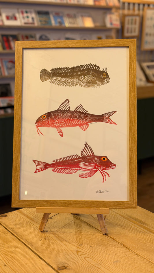 North Sea Fish I - A3 linocut print - coloured