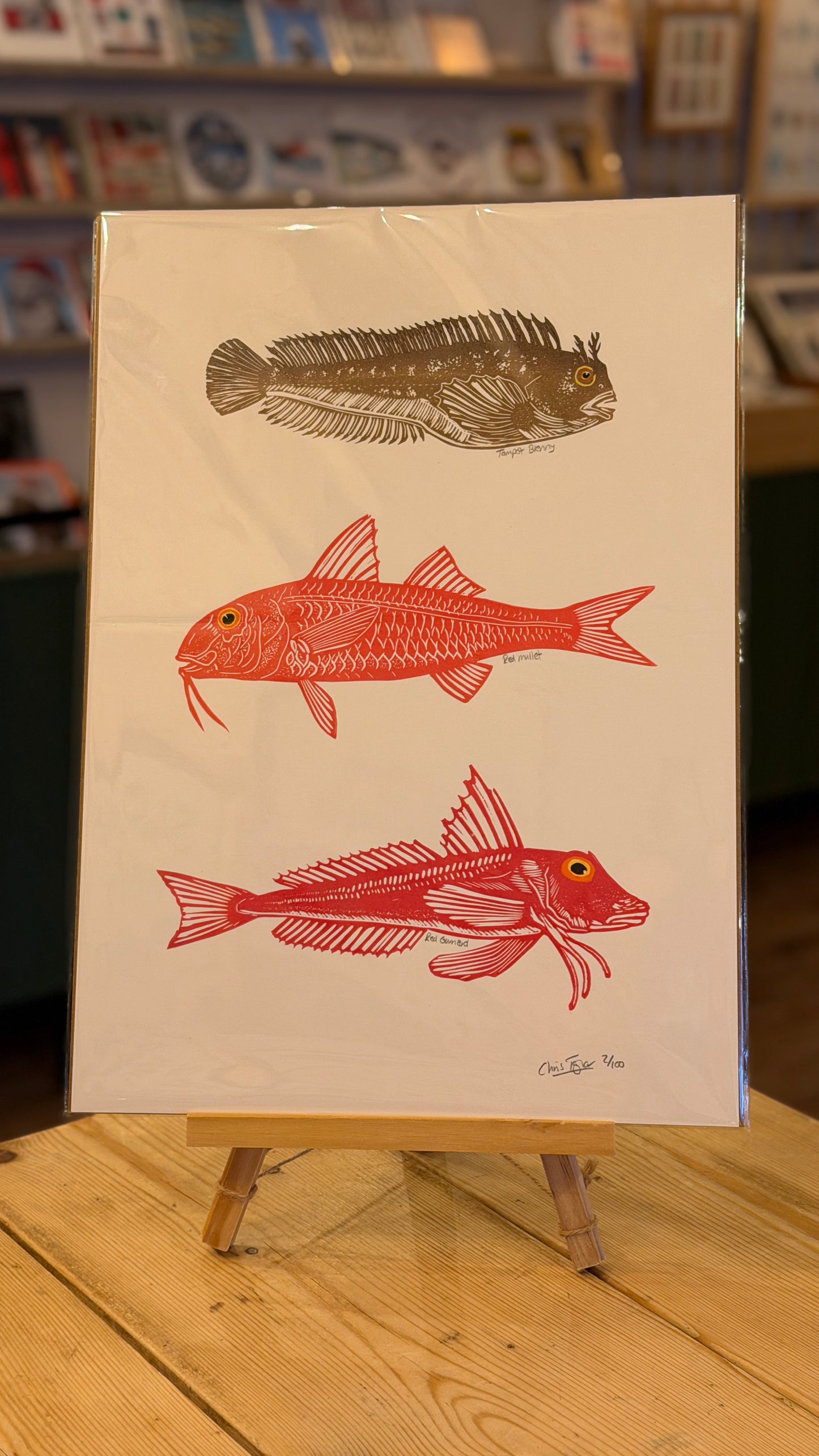 North Sea Fish I - A3 linocut print - coloured
