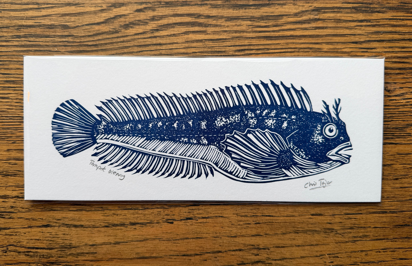North Sea Fish series - individual fish linocut prints