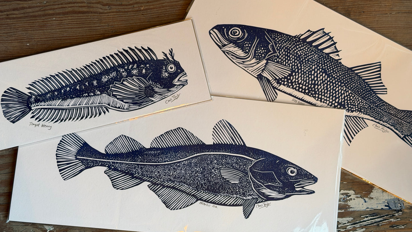 North Sea Fish series - individual fish linocut prints