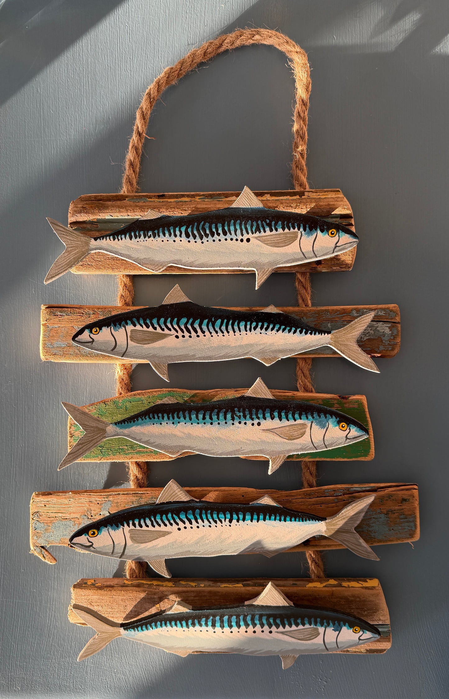 Hand-Painted Mackerel shadow-mounted on Norfolk driftwood