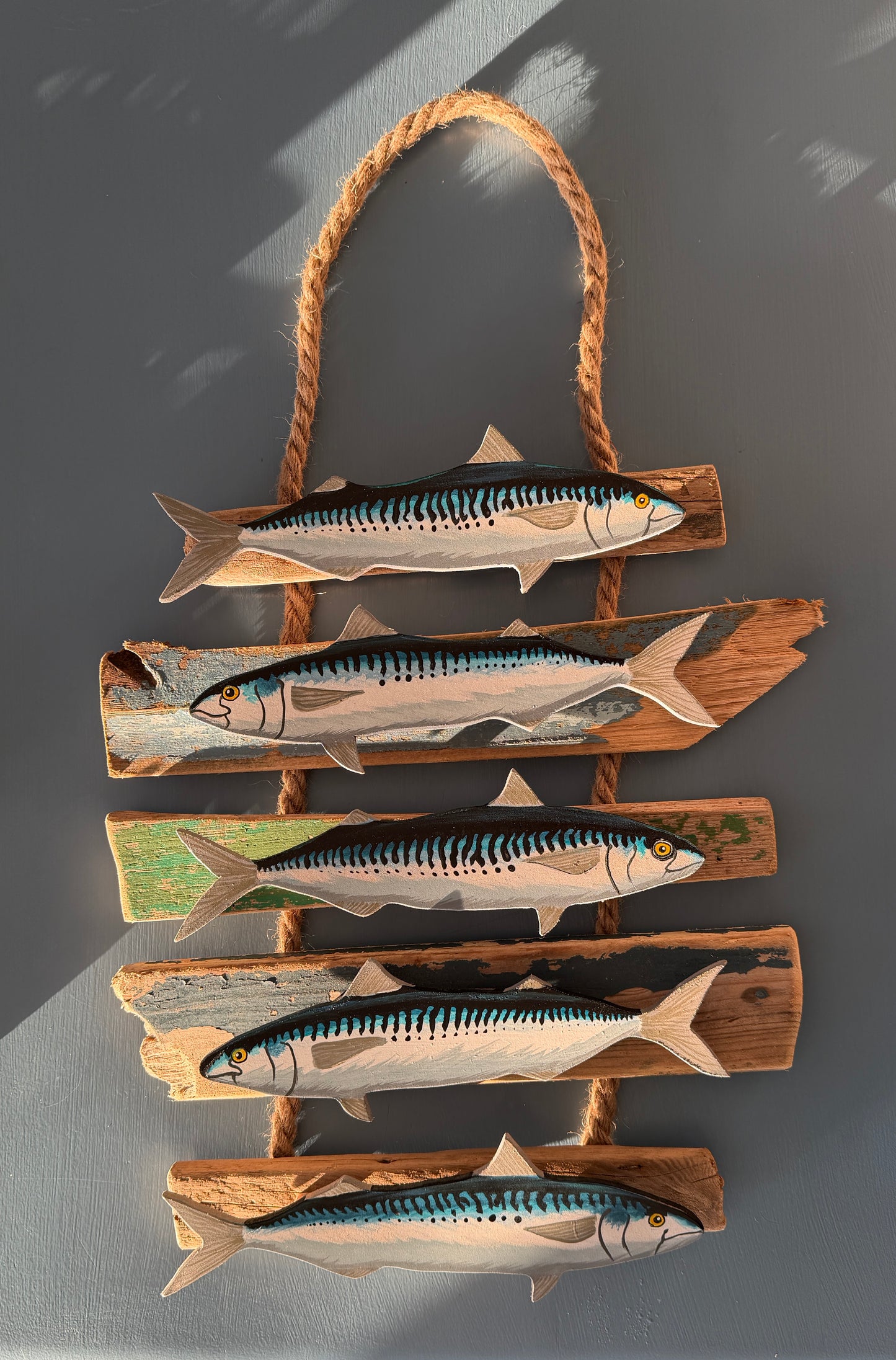 Hand-Painted Mackerel shadow-mounted on Norfolk driftwood