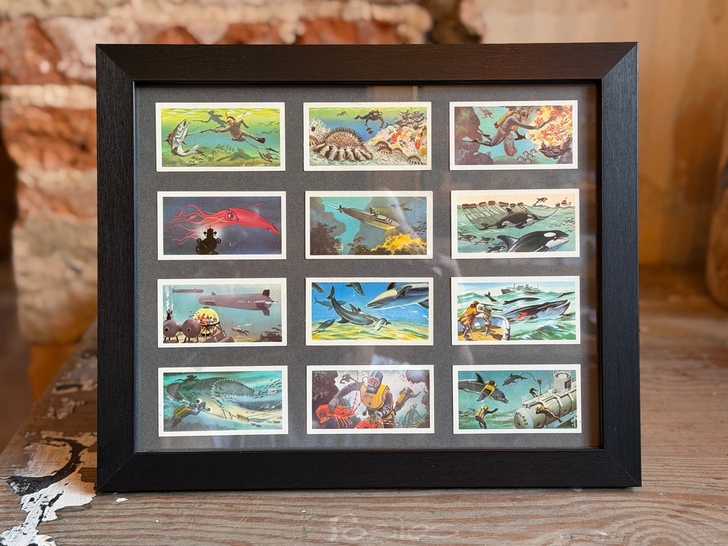 Vintage Brooke Bond tea cards - underwater scenes - mounted in frames