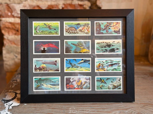 Vintage Brooke Bond tea cards - underwater scenes - mounted in frames