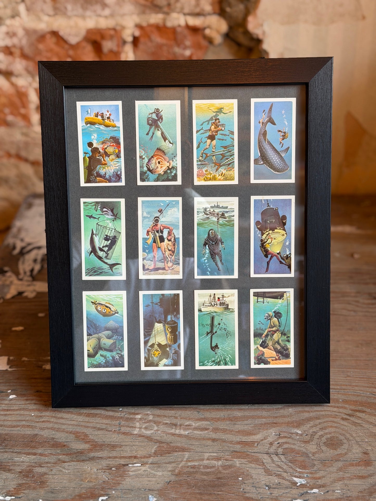 Vintage Brooke Bond tea cards - underwater scenes - mounted in frames