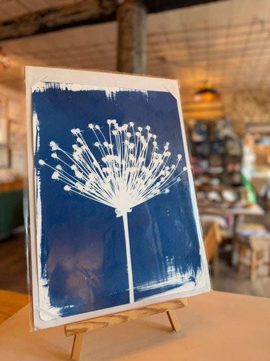 Cyanotype Print - 'Spider Allium' - unframed