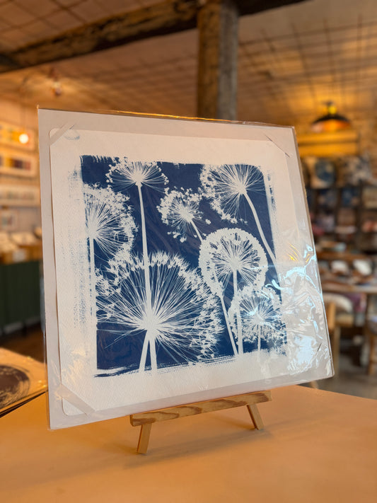 Square Cyanotype Prints - unframed