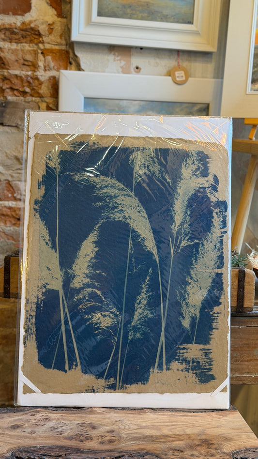 Cyanotype Print of Norfolk reed - khaki paper & blue - 40x50cm - unframed