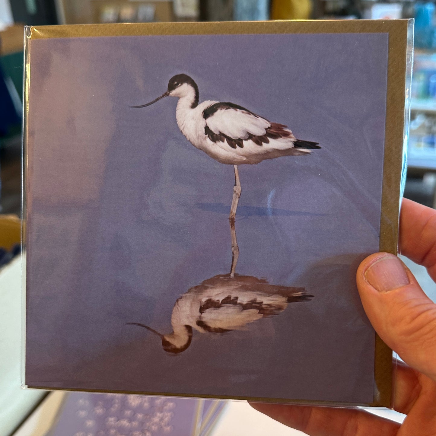 Roger Tidman's Norfolk wildlife greeting cards