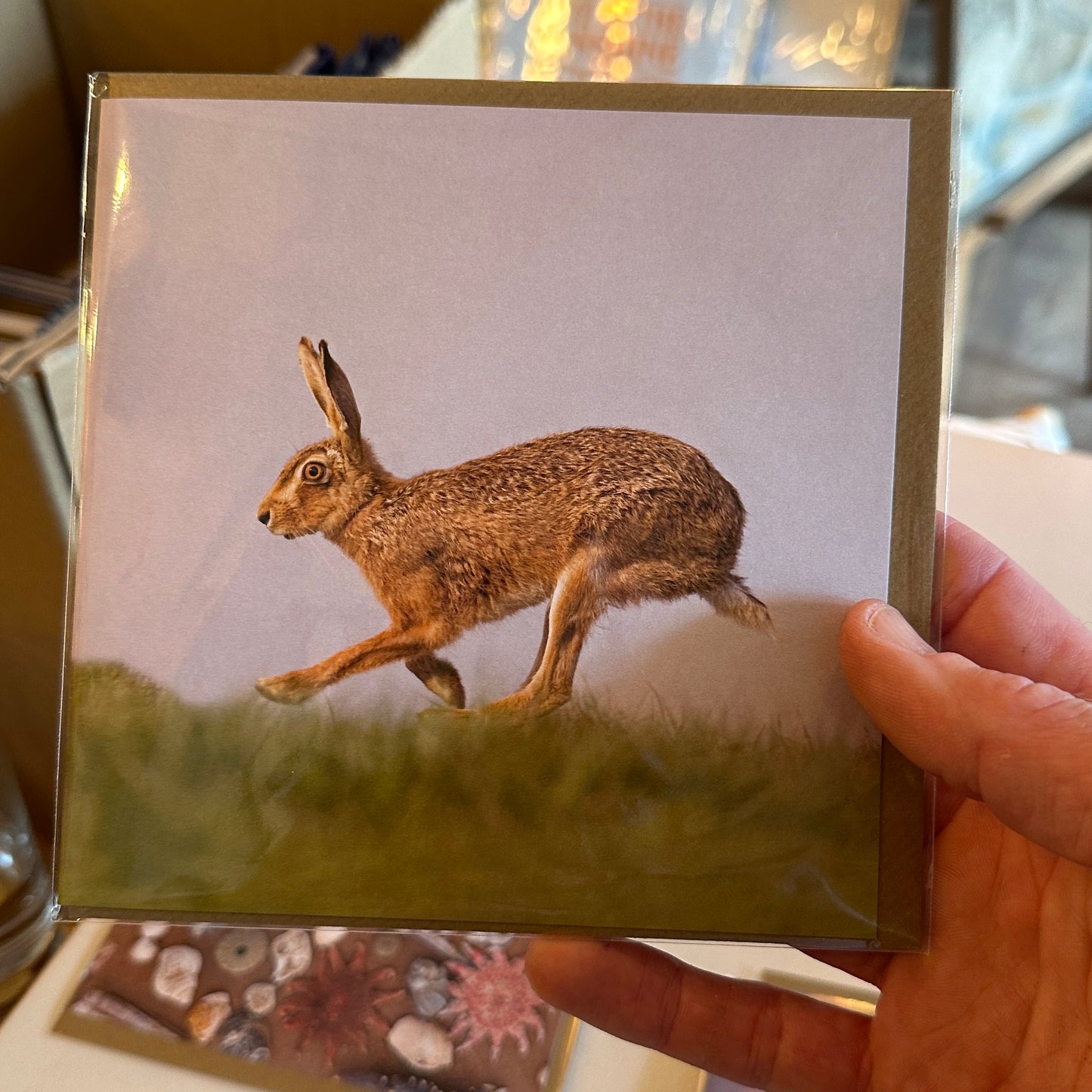 Roger Tidman's Norfolk wildlife greeting cards