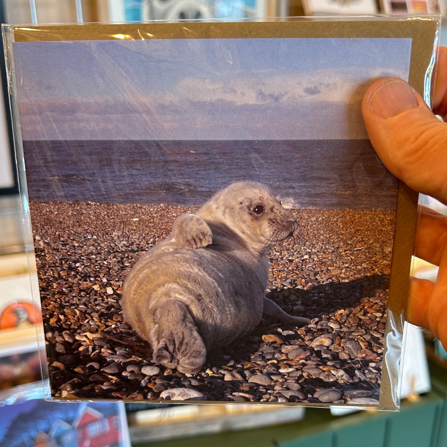 Roger Tidman's Norfolk wildlife greeting cards