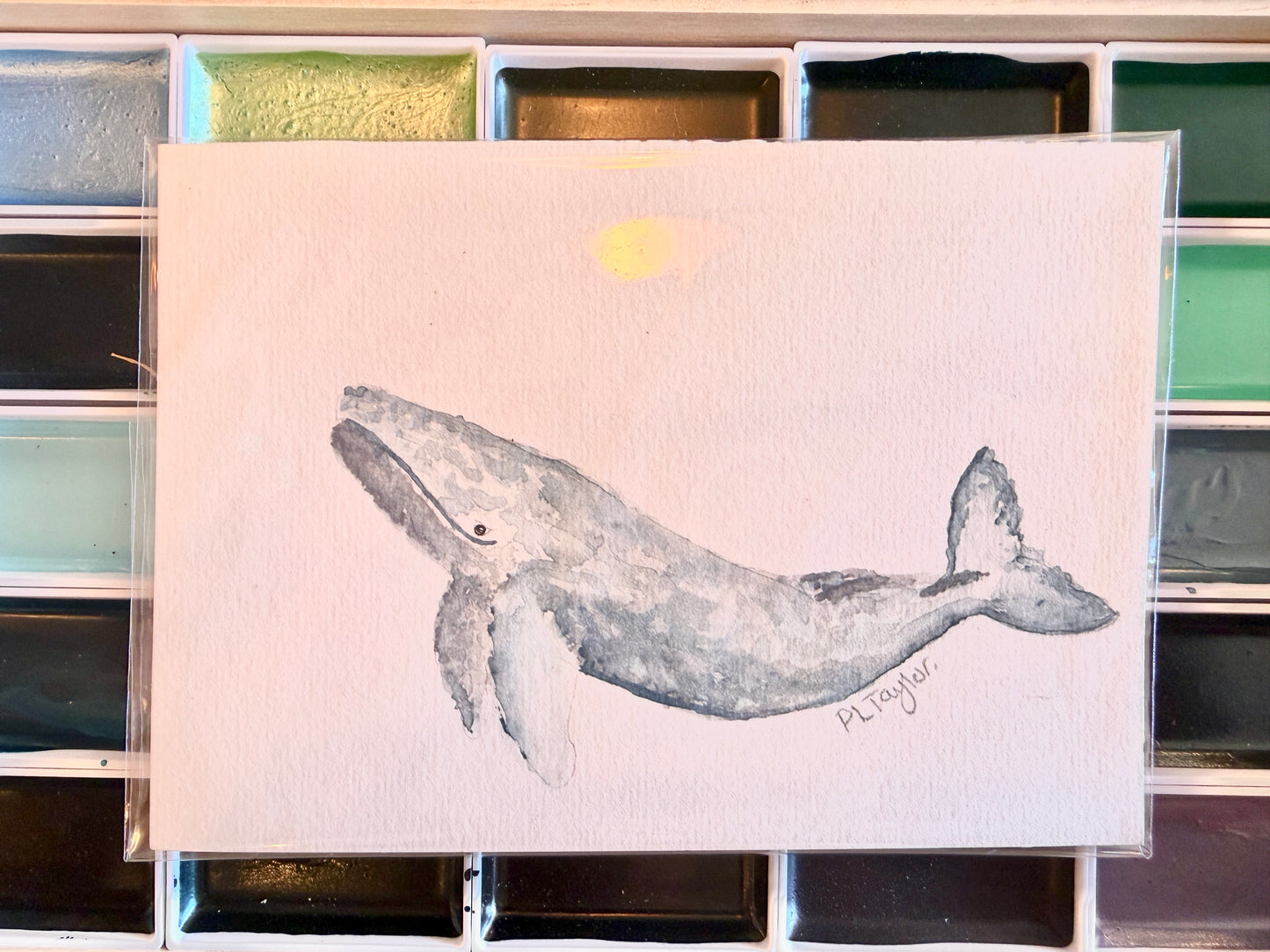 Original Watercolour Mini Prints
