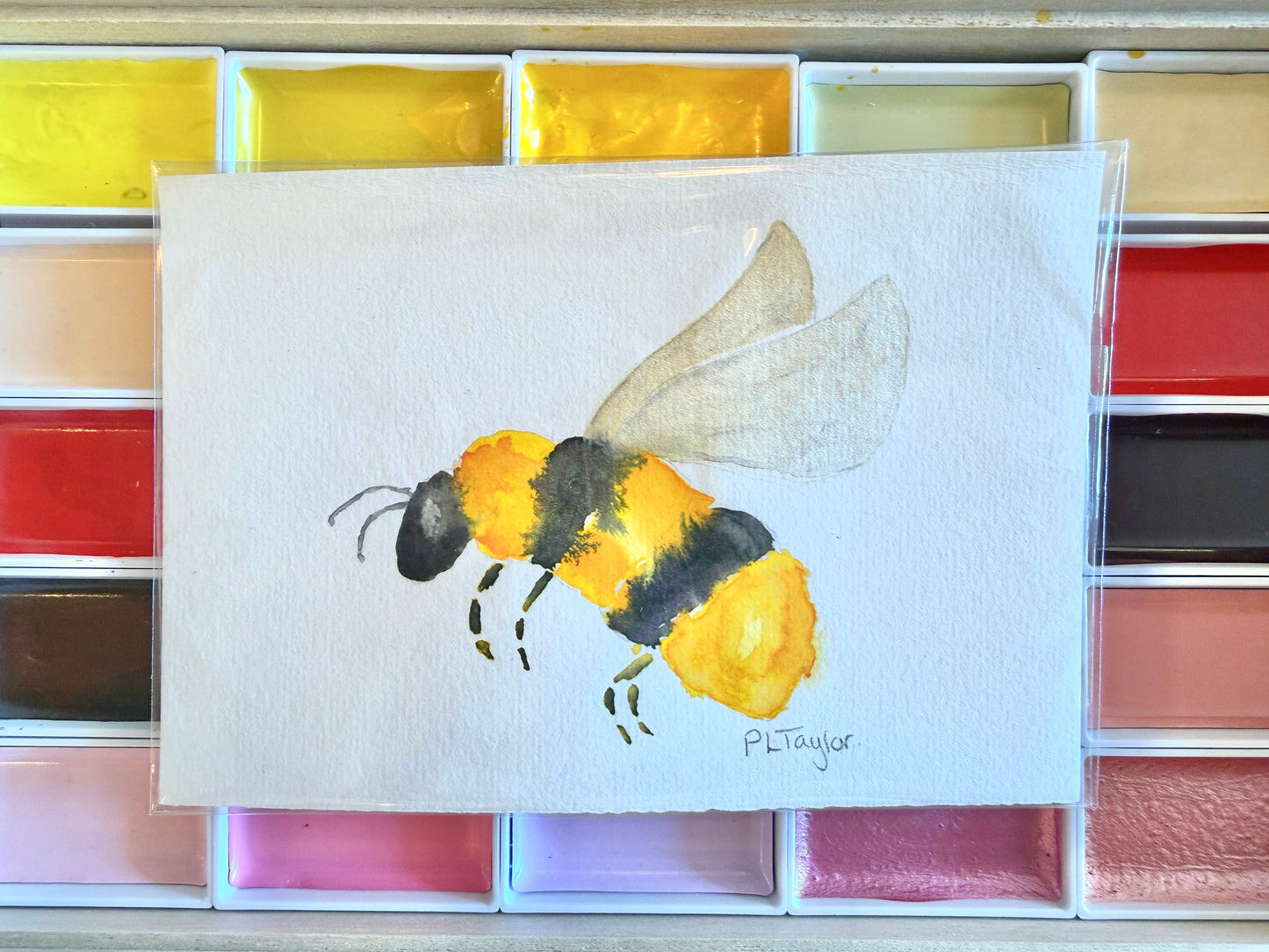 Original Watercolour Mini Prints